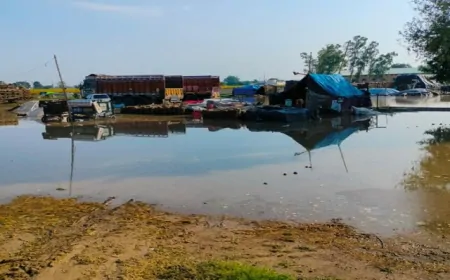 पहाड़ों में बारिश का पंजाब में असर, किसानों ने सरकार से लगाई मदद की गुहार 