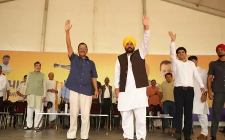 गुजरात : 'AAP' ने किया किसान-पशुपालक महापंचायत का आयोजन