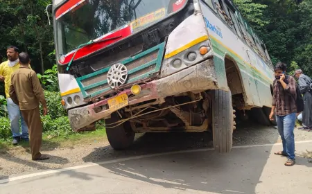 मंडी: सड़क से फिसलकर खेतों में जा गिरी HRTC बस, पांच की माैत, 20 घायल