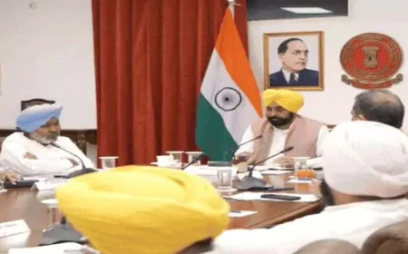 पंजाब सरकार ने ग्रुप-D भर्ती में बढ़ाई आयु सीमा, बीज एक्ट में भी किया संशोधन 