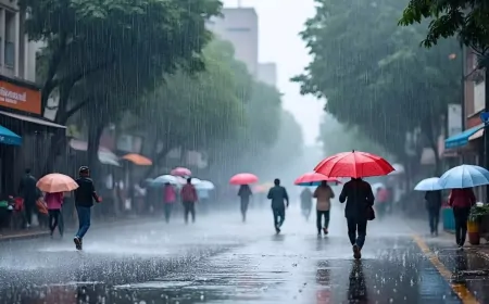 Weather Update: लगातार बरस रहे बादल, दिल्ली में हाल बेहाल