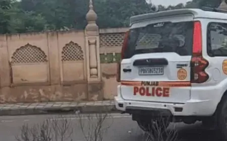 अमृतसर : पुलिस और अपराधी के बीच मुठभेड़, पुलिस की गोली लगने से अपराधी घायल 