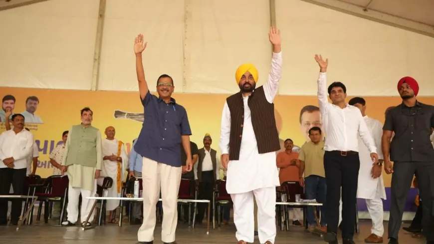 गुजरात : 'AAP' ने किया किसान-पशुपालक महापंचायत का आयोजन