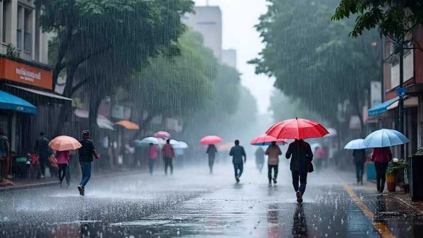 Weather Update: लगातार बरस रहे बादल, दिल्ली में हाल बेहाल