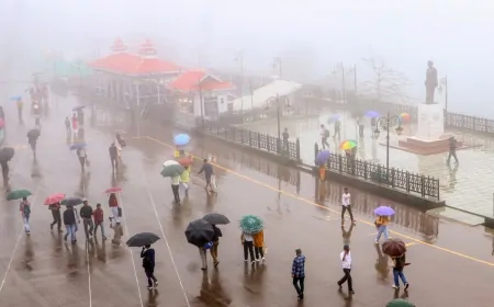 हिमाचल प्रदेश के कई जिलों में बारिश का अलर्ट, कांगड़ा, कुल्लू, मंडी में येलो अलर्ट जारी