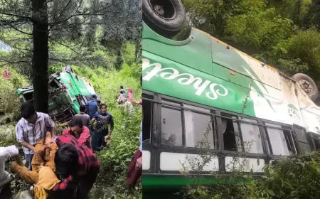 तुना में 150 फीट गहरी खाई में गिरी निजी बस, हादसे में एक महिला की मौत