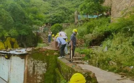 दुकानों पर चलेगा प्रशासन का बुलडोजर, तारागढ़ वन क्षेत्र में चल रही 258 अवैध दुकानें