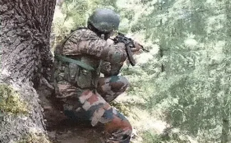 आतंकवाद  के खिलाफ सुरक्षाबलों की बड़ी कार्रवाई, आतंकियों के ठिकाने का किया खुलासा