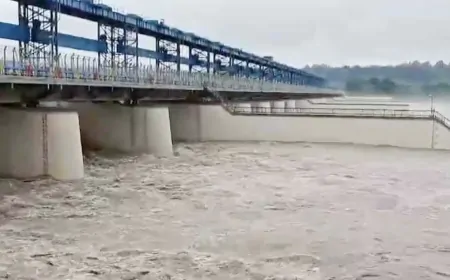 हरिद्वार में लगातार बढ़ रहा गंगा का जलस्तर, स्थानीय लोगों को सतर्क रहने की अपील  