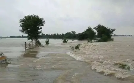 भारी बारिश से उफान नदियों का बढ़ा जलस्तर, चेनाब सहित समेत अन्य नदियों का जलस्तर बढ़ा