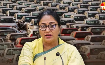 दिल्ली-NCR में पुराने वाहनों पर फिलहाल नहीं लगेगी रोक