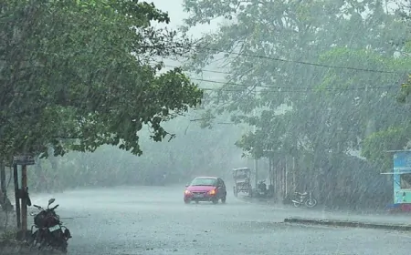 पंजाब के 3 जिलों में भारी बारिश का यलो अलर्ट, तापमान में दर्ज की गई गिरावट