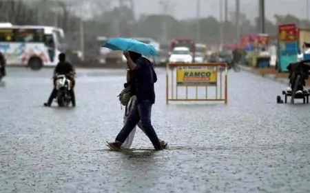 हरियाणा के 7 जिलों में भारी बारिश का अलर्ट, IMD ने अगले तीन दिनों के लिए जारी किया अलर्ट