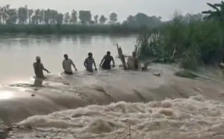 सुल्तानपुर लोधी में अस्थायी बांध टूटने से 16 टापू गांव जलमग्न, किसानों ने सरकार से लगाई गुहार 