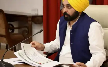 बाढ़ जैसे हालात को देखते हुए पंजाब सरकार अलर्ट, सभी जिलों में स्थापित किए कंट्रोल रूम