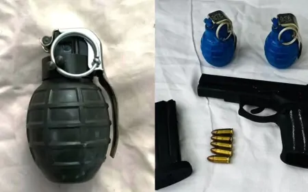 पंजाब में बड़ी आतंकी साजिश नाकाम, आरोपी के कब्जे से हैंड ग्रेनेड बरामद