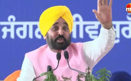 CM भगवंत सिंह मान ने पंजाब के 271 युवाओं को सौंपे नियुक्ति पत्र,अब तक 55201 को दी नौकरी