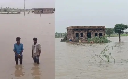 पंजाब के कई जिलों में बाढ़ जैसे हालात, कई गांव हुए जलमग्न, फसलों को नुकसान