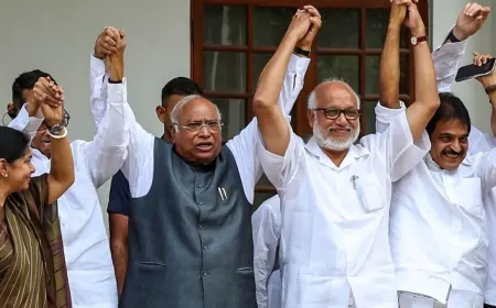 बी सुदर्शन रेड्डी ने उपराष्ट्रपति पद के लिए किया नामांकन, 'INDIA' ब्लॉक की ओर से भरा पर्चा