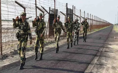 BSF ने घुसपैठ कर रहे 15 पाकिस्तानी नागरिकों को किया गिरफ्तार 