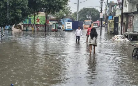 पंजाब में मानसून का प्रकोप, पंजाब सरकार बाढ़ प्रबंधन के लिए पूरी तरह तैयार