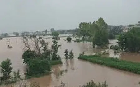 पठानकोट में भारी बारिश के बाद बाढ़ जैसे हालात, कई जगहों पर बनाए गए इवैक्यूएशन सेंटर्स