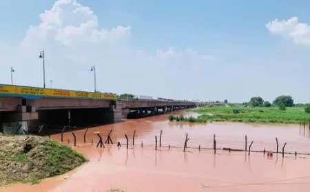 श्री करतारपुर कॉरिडोर के पास बांध टूटा, कई गांव पानी में डूबे