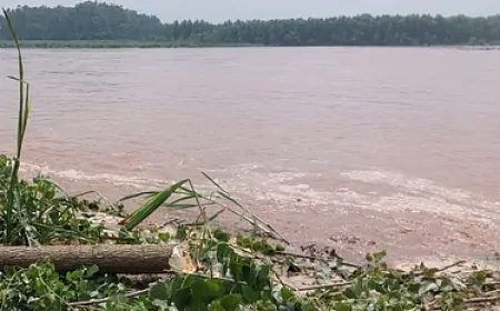 ब्यास नदी का जलस्तर बढ़ने से खतरा, नदी के आसपास के इलाको में बाढ़ का खतरा