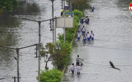 पंजाब में बाढ़ का कहर, पांच नदियां उफान पर, कई जिलों में हालात गंभीर