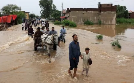 मूसलाधार बारिश के बाद पंजाब के कई जिलों में बाढ़, पानी में फंसे लोगों के लिए सेना बनी देवदूत