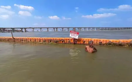 प्रयागराज में उफान पर गंगा और यमुना, कई इलाकों में बाढ़ का खतरा मंडराया