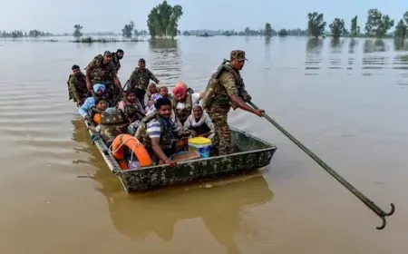 फिरोजपुर में बाढ़ रेस्क्यू के दौरान पलटी सेना की नाव, सेना के जवानों ने 10 लोगों की बचाई जान 