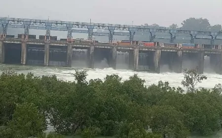 पौंग डैम से छोड़ा गया अतिरिक्त पानी, पंजाब और हिमाचल के कई गांव हुए जलमग्न 