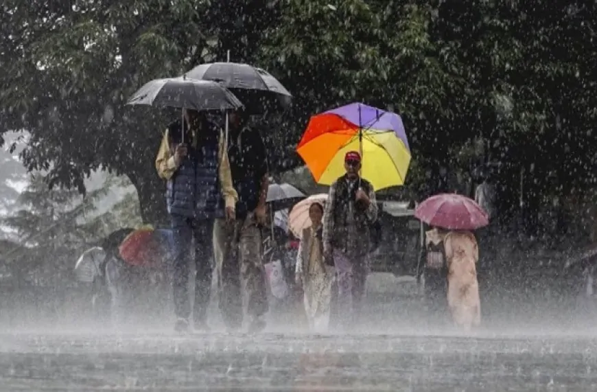 पंजाब के कई जिलों में भारी बारिश का अलर्ट, प्रशासन ने लोगों से सावधानी बरतने की अपील की