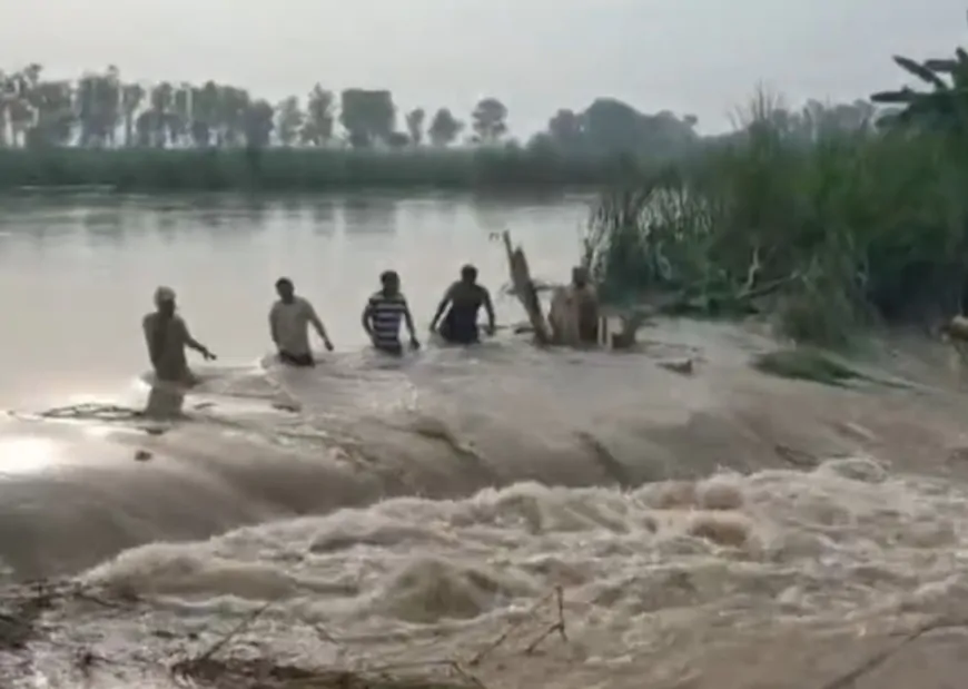 सुल्तानपुर लोधी में अस्थायी बांध टूटने से 16 टापू गांव जलमग्न, किसानों ने सरकार से लगाई गुहार 