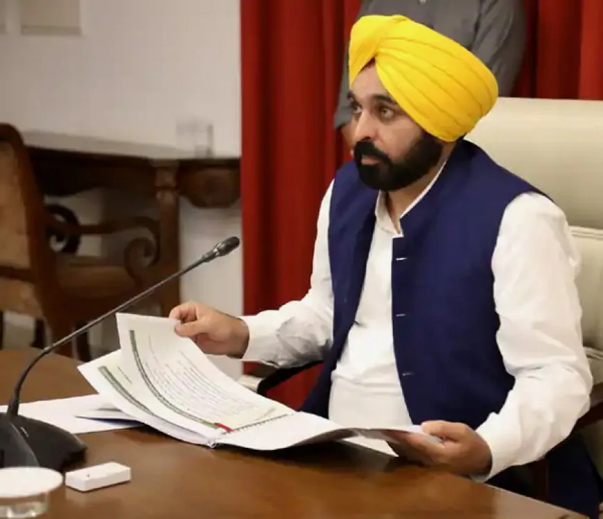 बाढ़ जैसे हालात को देखते हुए पंजाब सरकार अलर्ट, सभी जिलों में स्थापित किए कंट्रोल रूम