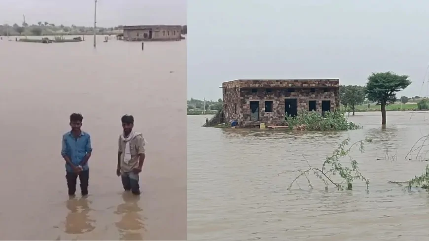 पंजाब के कई जिलों में बाढ़ जैसे हालात, कई गांव हुए जलमग्न, फसलों को नुकसान