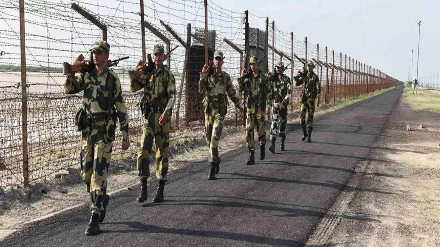 BSF ने घुसपैठ कर रहे 15 पाकिस्तानी नागरिकों को किया गिरफ्तार 