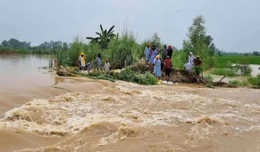 लुधियाना : लगातार बारिश के कारण बढ़ा सतलुज नदी का जलस्तर, खेत हुए जलमग्न 