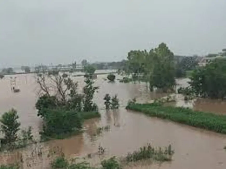 पठानकोट में भारी बारिश के बाद बाढ़ जैसे हालात, कई जगहों पर बनाए गए इवैक्यूएशन सेंटर्स