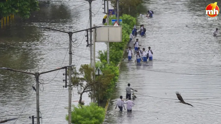 पंजाब में बाढ़ का कहर, पांच नदियां उफान पर, कई जिलों में हालात गंभीर