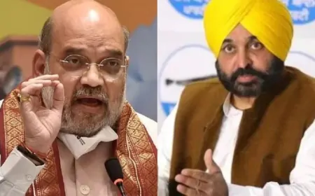 पंजाब में बाढ़ ने मचाई तबाही, गृह मंत्री ने CM मान से की फोन पर बात