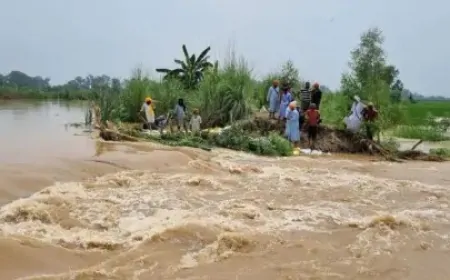 पंजाब में बाढ़-बारिश से हालात खराब, आज के लिए रेड और कल के लिए येलो अलर्ट जारी