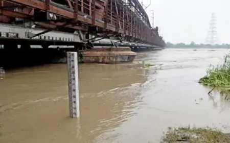 दिल्ली में बाढ़ का खतरा बरकरार, हथिनी कुंड बैराज से छोड़ा गया 3 लाख क्यूसेक पानी