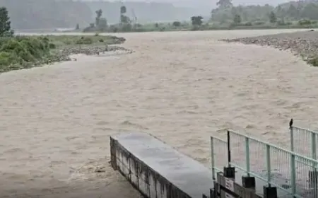 उत्तराखंड में बारिश से बिगड़े हालात, हल्द्वानी में बारिश के बाद उफान पर गौला नदी