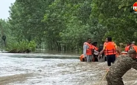 पंजाब के होशियारपुर के दसूहा में बाढ़ से बिगड़े हालात, गाँव  टेरकियाना में घरों में घुसा पानी