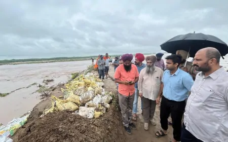 समराला में सतलुज नदी का जलस्तर बढ़ा, DC ने इलाके का लिया जायजा, कई बांधों को पहुंचा नुकसान