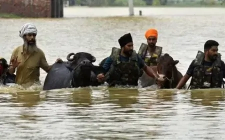 पंजाब में बाढ़ से हाहाकार, अब तक 30 लोगों की मौत, कई लापता