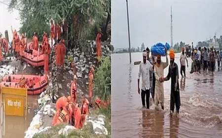 बारिश के बाद पंजाब के सभी जिलों में बाढ़, पीड़ितों की मदद के लिए NDRF की कई टीमें मुस्तैद     