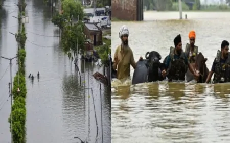 फाजिल्का में भारी बारिश के बाद बाढ़, DC ने बाढ़ग्रस्त क्षेत्रों का लिया जायजा